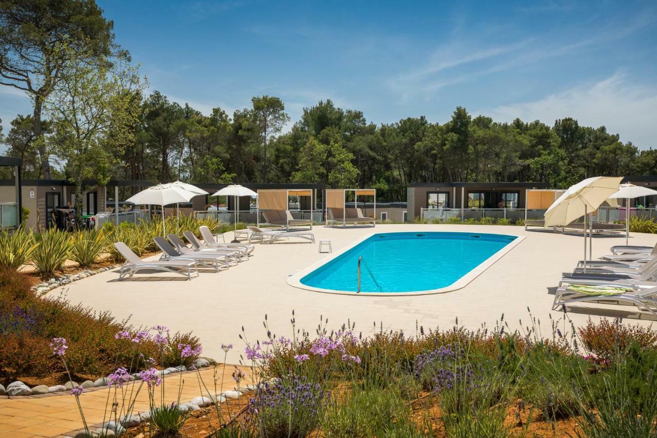Mobile Homes Camping Santa Marina, Lanterna Tar-Vabriga Exteriér fotografie The swimming pool at the campsite